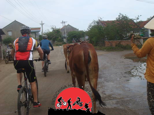 Cycling in Rajasthan - Land of Maharajas - 13 Days