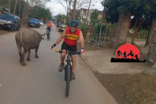 Karala Cycling and Kayaking Tour - 6 Days 4